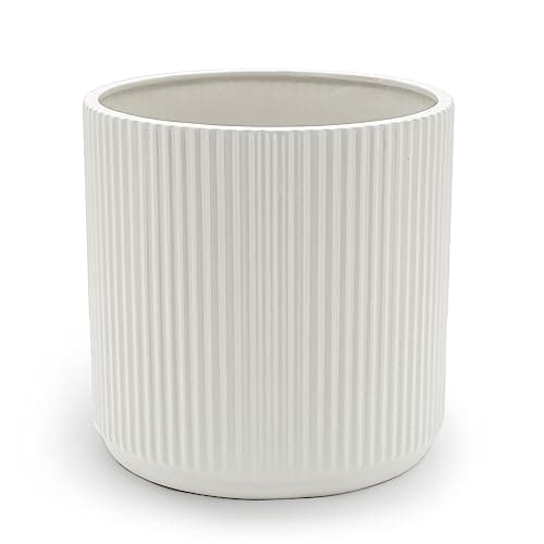 Amazon Basics Biała Donica Ceramiczna 20,3 cm