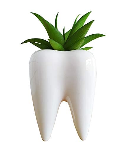 Cuteforyou Ceramiczna Doniczka Ząb Sukulenty QFY-206 (1)