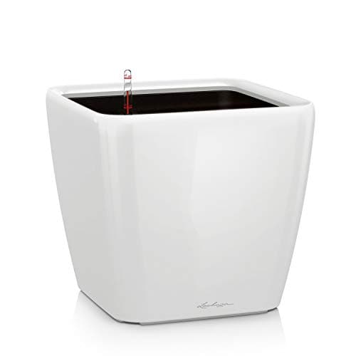 Lechuza Quadro Premium LS 21 Donica Biała