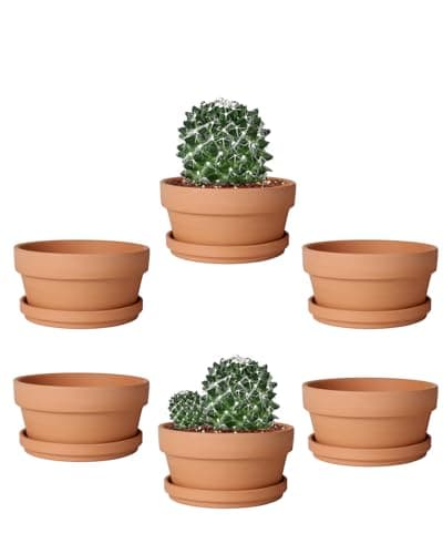 Vensovo Doniczka na Sukulenty 14 cm 6 sztuk