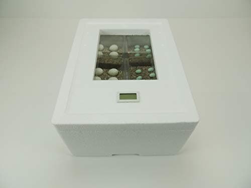 Campo24 ST3 Inkubator Terrarium dla Gadów