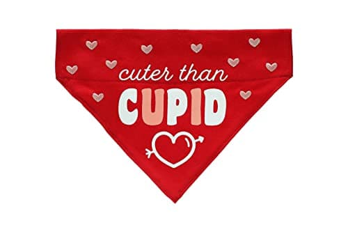 Pearhead Cuter Than Cupid Walentynkowa Apaszka dla Psa