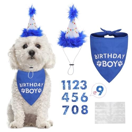 Bingpet Birthday Boy Apaszka i Czapeczka Zestaw