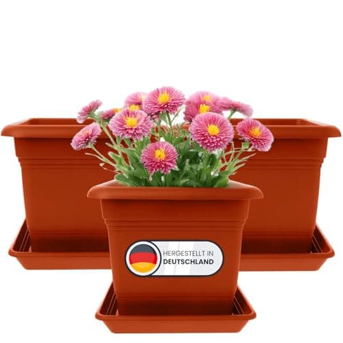 2Friends 3-częściowy Zestaw Prostokątnych Donic Terracotta