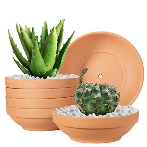 Laerjin Doniczki Terakota Płytkie 16 cm 6 sztuk