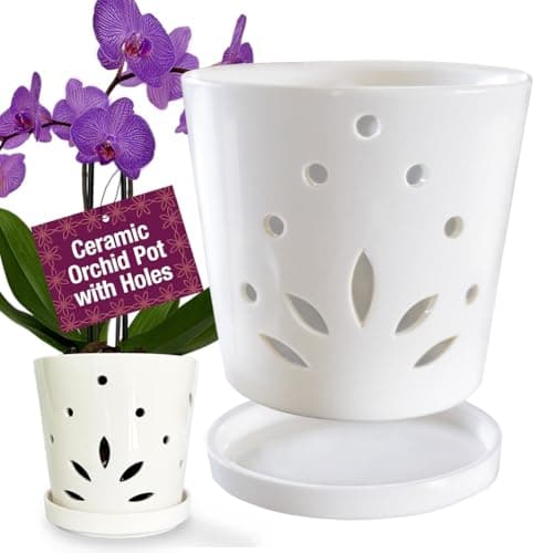 Atri Ceramiczna Doniczka na Orchideę 12 cm