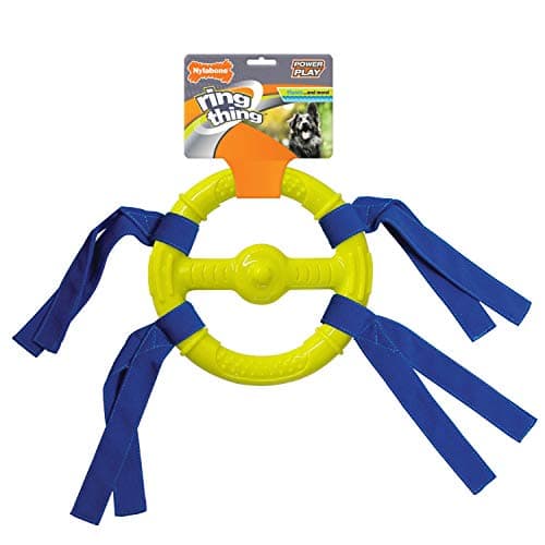 Nylabone Power Play Ring Thing Zabawka dla Psa