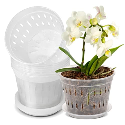 JGB Przezroczyste Doniczki do Orchidei z Podstawkami