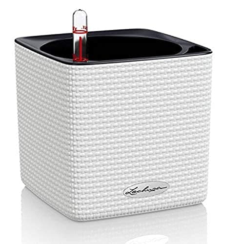 Lechuza Cube Sadzarka 14x14x14 cm