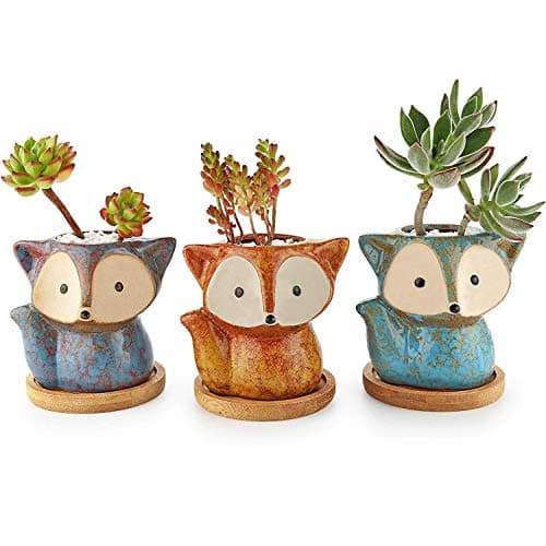 T4U Ceramiczna Doniczka Lis Sukulenty 3 szt.
