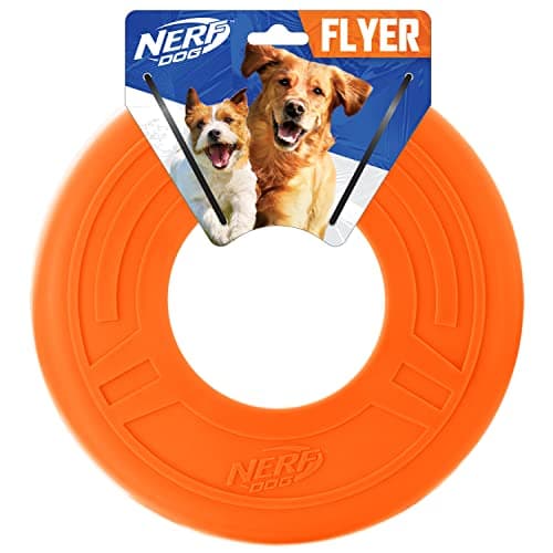 Nerf Dog Atomic Flyer 25,4 cm pomarańczowy