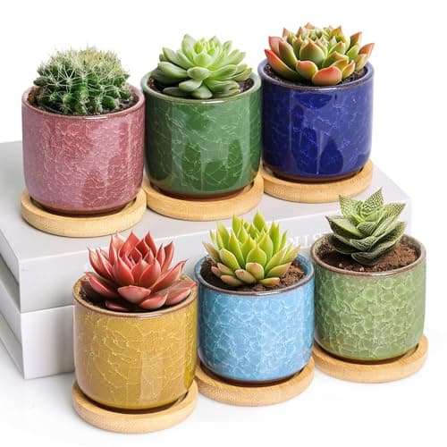 T4U Ceramiczne Doniczki ICE Crack 6 sztuk