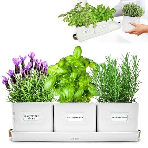 Green Thumbz Doniczki na Zioła z Uchwytami