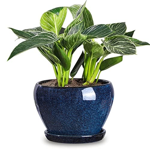 Vicrays Ceramiczna Doniczka na Kwiaty 16,5cm