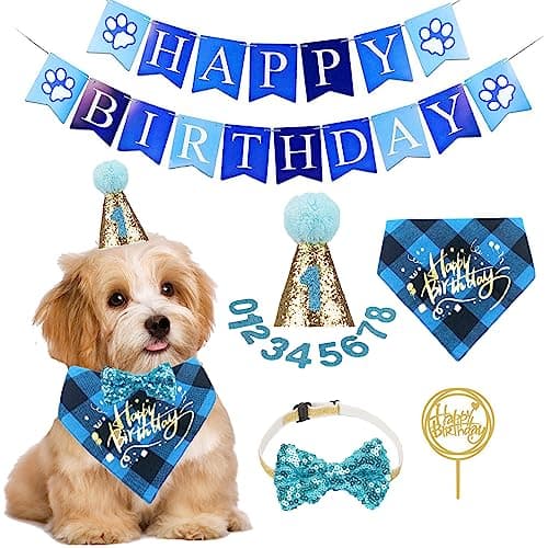 Adoggygo Happy Birthday Zestaw Urodzinowy dla Psa
