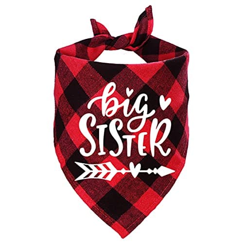 STMK Starsza Siostra Czerwona Apaszka dla Psa