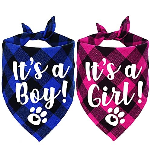 Stmk It's A Boy It's A Girl Apaszki dla Psów
