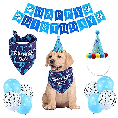 Hiqe-Fl Birthday Boy Zestaw Urodzinowy dla Psa