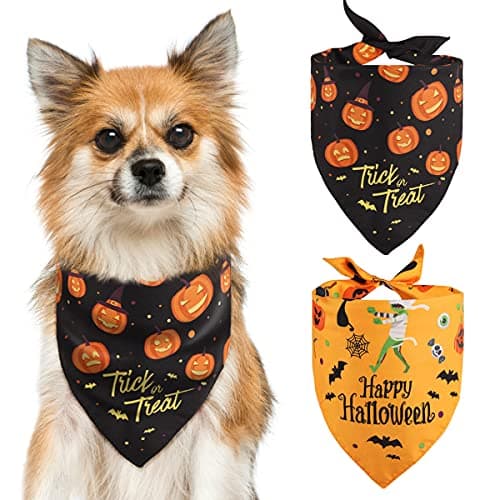 Yicostar DBH013HA Halloween Bandana dla Psa 2 szt.