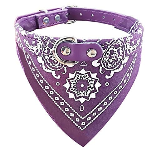 Newtensina Fioletowa Bandana Obroża dla Psa M