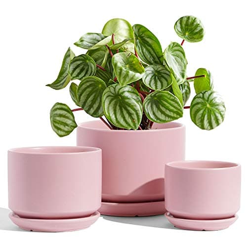 Donice na kwiaty ceramiczne