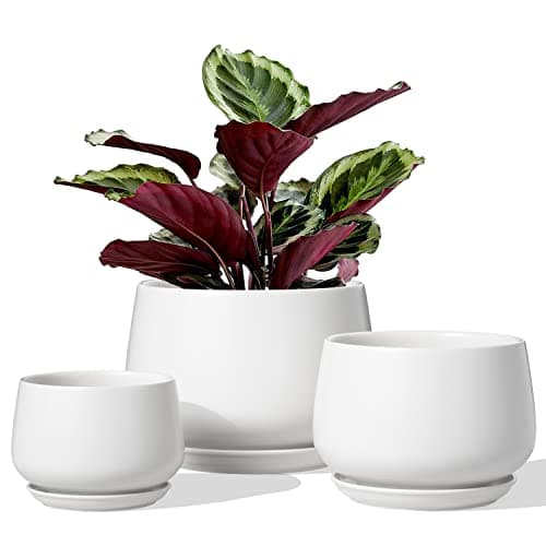 Le TAUCI Zestaw Doniczek Ceramicznych 3 szt.