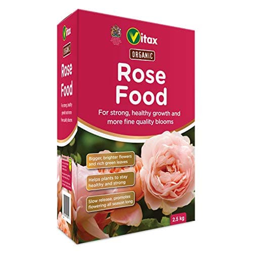 Organiczne nawozy do róż